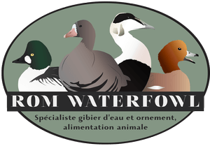 Romwaterfowl spécialiste de l'alimentation animale et élevage Nord de la France