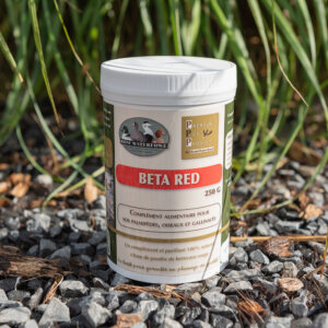 Beta Red PPP by RomWaterfowl