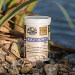 Recup Force 300g RomWaterfowl