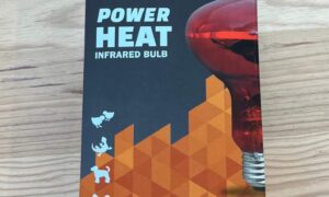 Ampoule infrarouge 100W