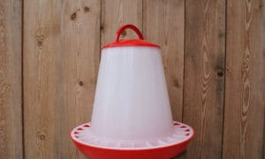 Mangeoire trémie plastique 10kg