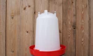 Abreuvoir plastique 10L à clip