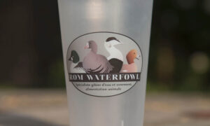 Gobelet Romwaterfowl réutilisable 25cl