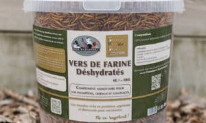 Seaux vers de farine déshydratés