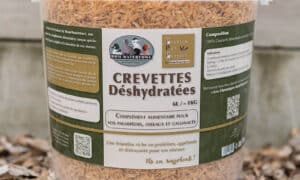 Seaux crevettes déshydratées