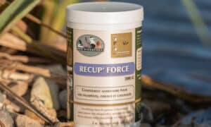 Récup' Force 300g