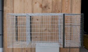 Cage à corbeaux 2 entrées