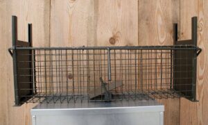 Cage à rat 2 entrées