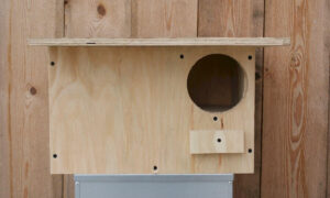 Nichoir à chicane universel