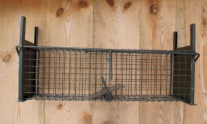 Piège à fauve 2 entrées - 20x20x60