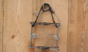 Piège en X simple ressort