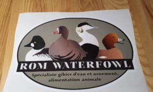Autocollant logo Romwaterfowl grand format