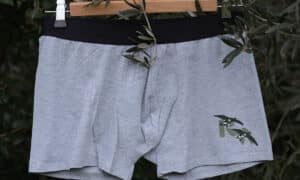 Boxer_grisclair_romwaterfowl