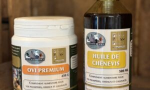 Duo chauffe RomWaterfowl