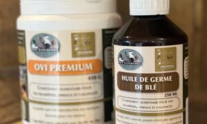 Pack ponte repro RomWaterfowl