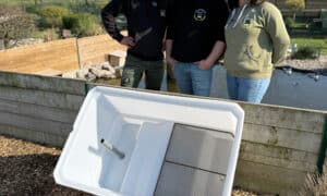 Normanduck x Romwaterfowl