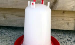 Abreuvoir plastique 1,5L