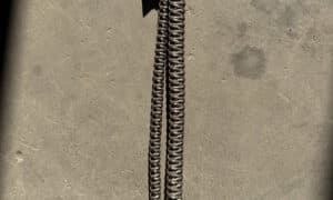 Bretelle de fusil SamHunting