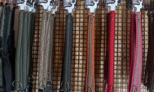 Collier pour chien SamHunting