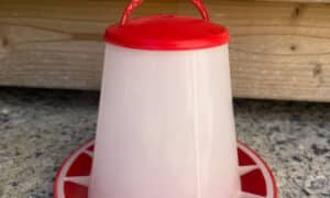 Mangeoire trémie plastique 1kg
