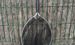 Epuisette appoint RomWaterfowl