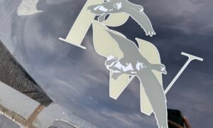 Logo rieuses